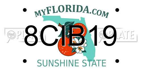 8CIB19 Florida License Plate