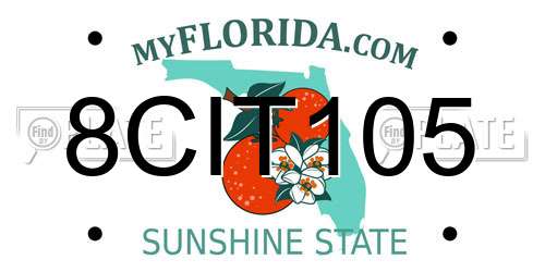 8CIT105 Florida License Plate