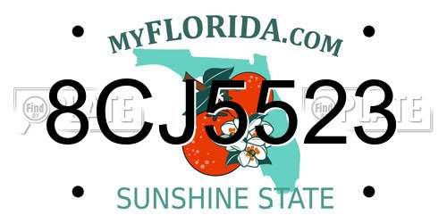 8CJ5523 Florida License Plate