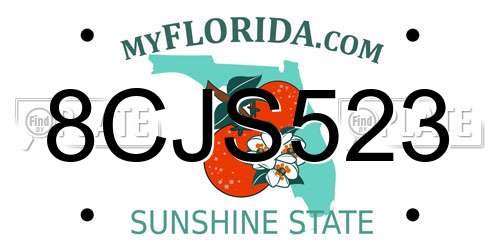 8CJS523 Florida License Plate