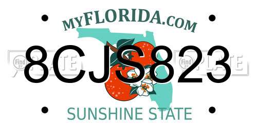 8CJS823 Florida License Plate