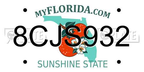8CJS932 Florida License Plate