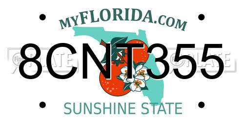 8CNT355 Florida License Plate