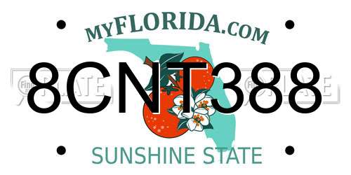 8CNT388 Florida License Plate