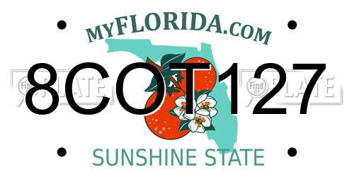 8COT127 Florida License Plate
