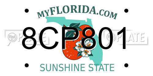 8CP801 Florida License Plate