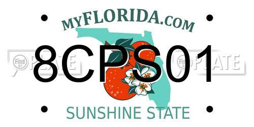 8CPS01 Florida License Plate