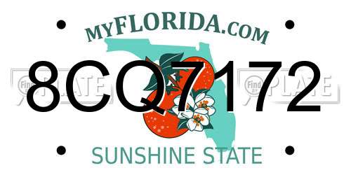 8CQ7172 Florida License Plate
