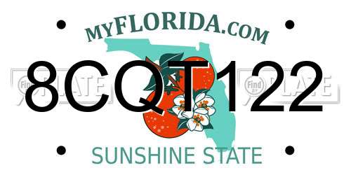 8CQT122 Florida License Plate