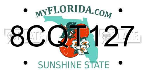 8CQT127 Florida License Plate