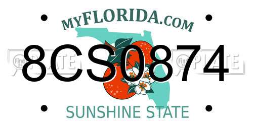 8CS0874 Florida License Plate