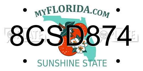 8CSD874 Florida License Plate