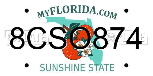 8CSO874 Florida License Plate