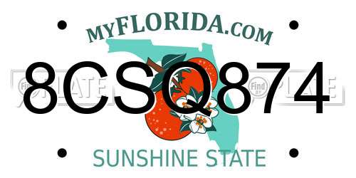 8CSQ874 Florida License Plate