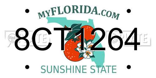 8CT1264 Florida License Plate