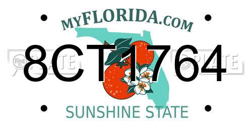 8CT1764 Florida License Plate