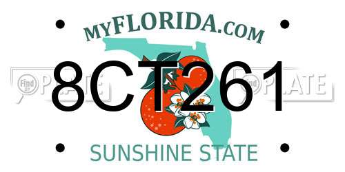8CT261 Florida License Plate