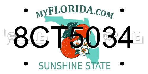 8CT5034 Florida License Plate