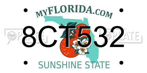 8CT532 Florida License Plate
