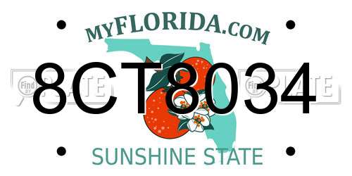 8CT8034 Florida License Plate