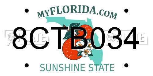8CTB034 Florida License Plate