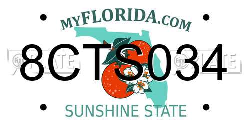 8CTS034 Florida License Plate