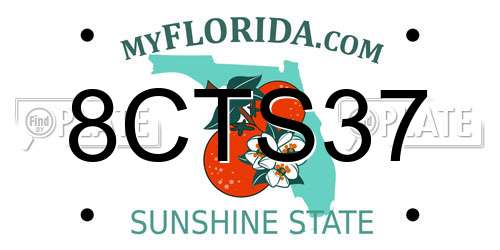 8CTS37 Florida License Plate