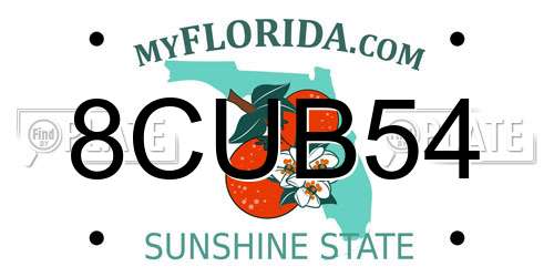 8CUB54 Florida License Plate