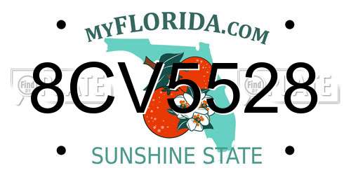 8CV5528 Florida License Plate