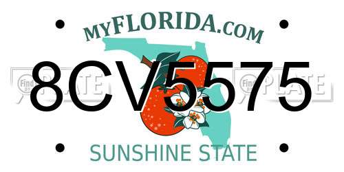 8CV5575 Florida License Plate
