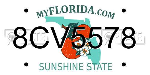 8CV5578 Florida License Plate