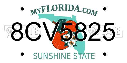 8CV5825 Florida License Plate