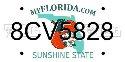 8CV5828 Florida License Plate