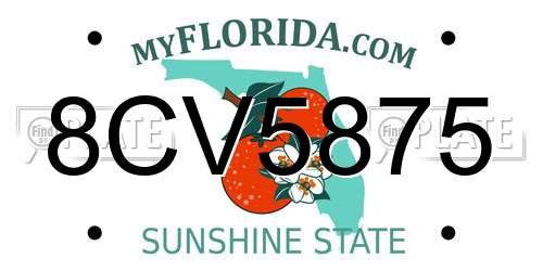 8CV5875 Florida License Plate