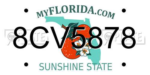 8CV5878 Florida License Plate