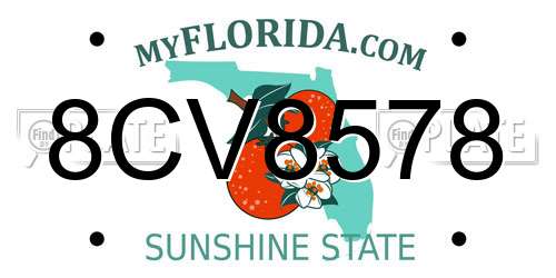 8CV8578 Florida License Plate
