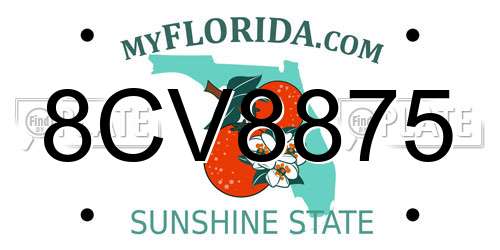 8CV8875 Florida License Plate