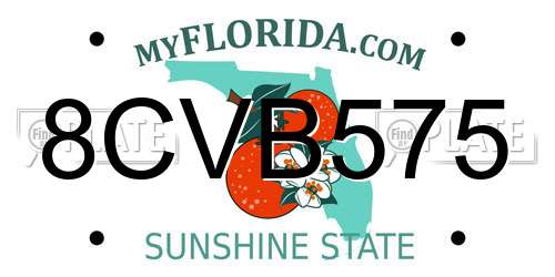 8CVB575 Florida License Plate