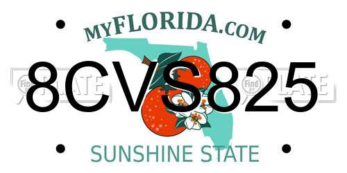 8CVS825 Florida License Plate