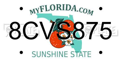8CVS875 Florida License Plate