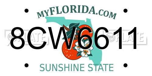 8CW6611 Florida License Plate