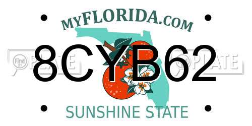 8CYB62 Florida License Plate