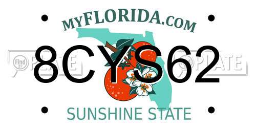 8CYS62 Florida License Plate
