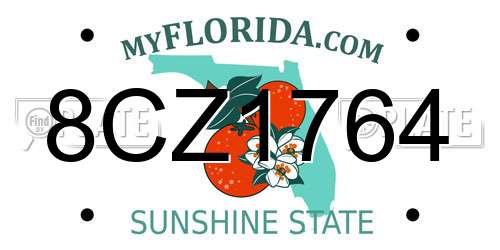 8CZ1764 Florida License Plate