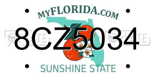 8CZ5034 Florida License Plate