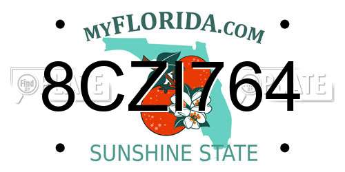 8CZI764 Florida License Plate