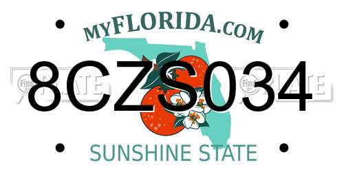 8CZS034 Florida License Plate
