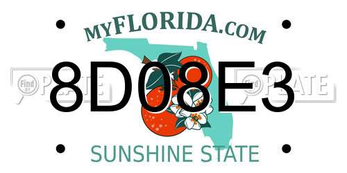 8D08E3 Florida License Plate