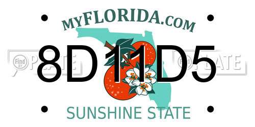 8D11D5 Florida License Plate