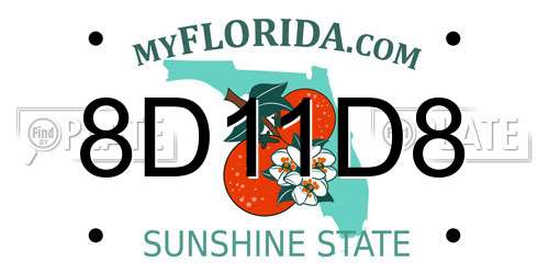 8D11D8 Florida License Plate